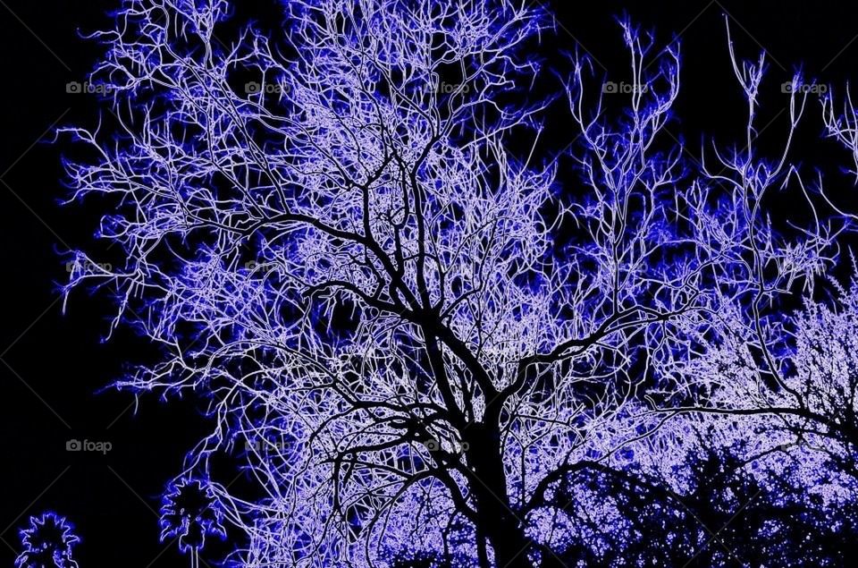 Electric Tree