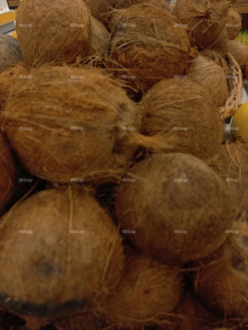 Coco seco.  O coco seco é uma fonte de fibras muito importante para o nosso organismo.  Sua ingestão pode auxiliar  no bom funcionamento do intestino, além de dar sensação  de saciedade