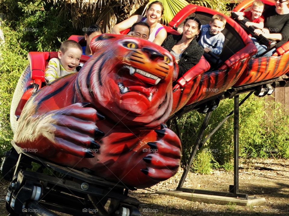 Family Rollercoaster
