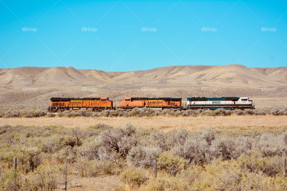 BNSF 
