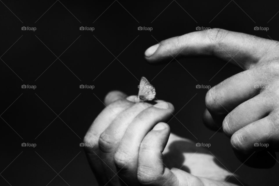 Butterfly on a man's hand