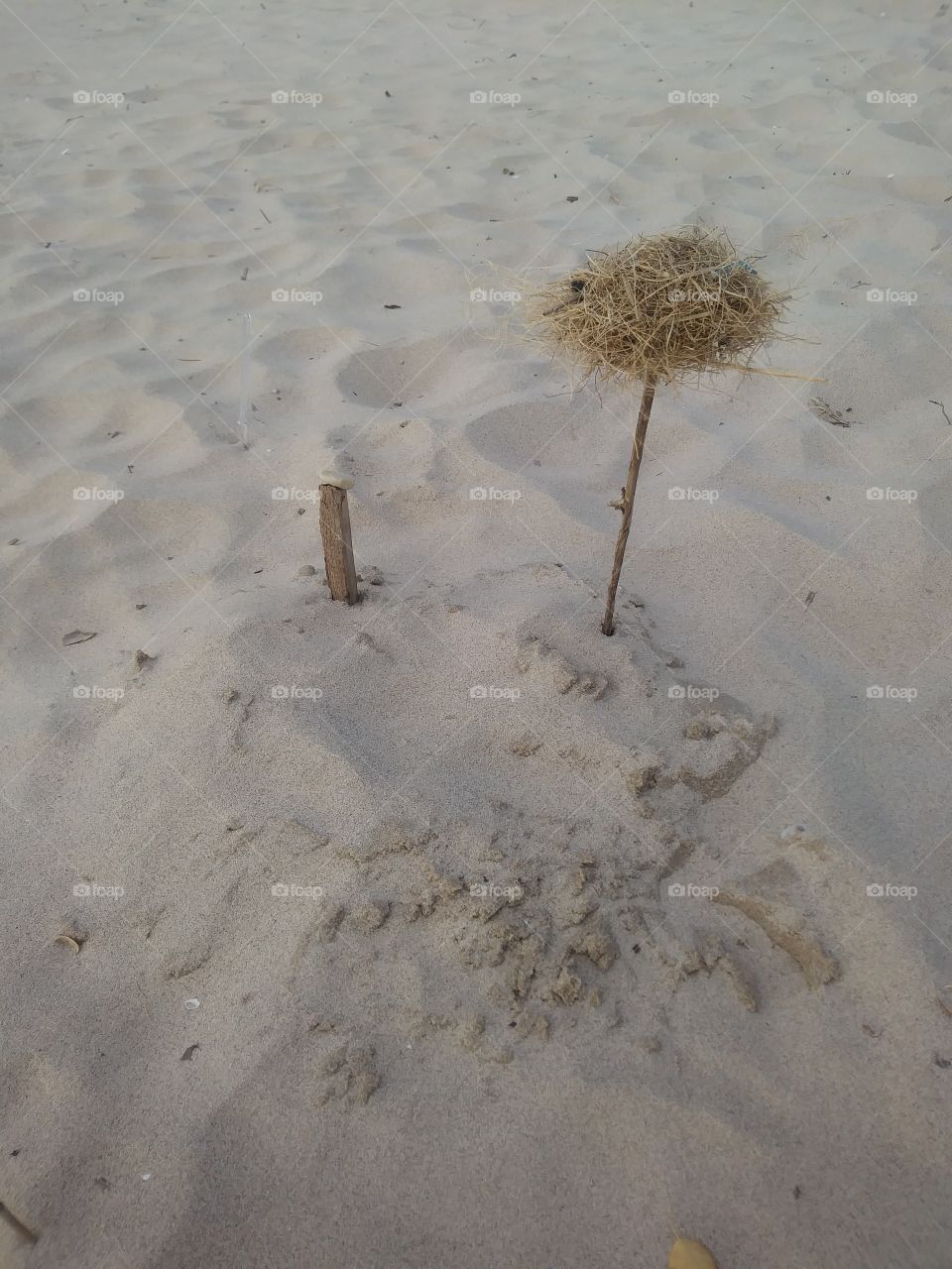 A little resting spot in the sand