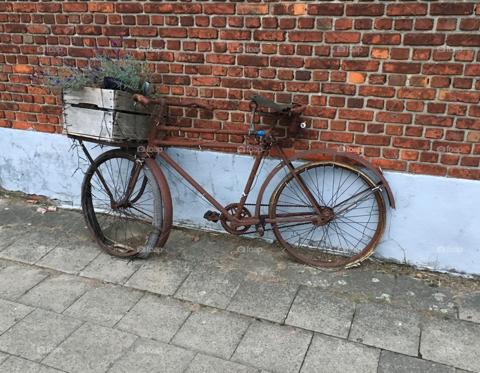 Old bike, nice decoration for a garden