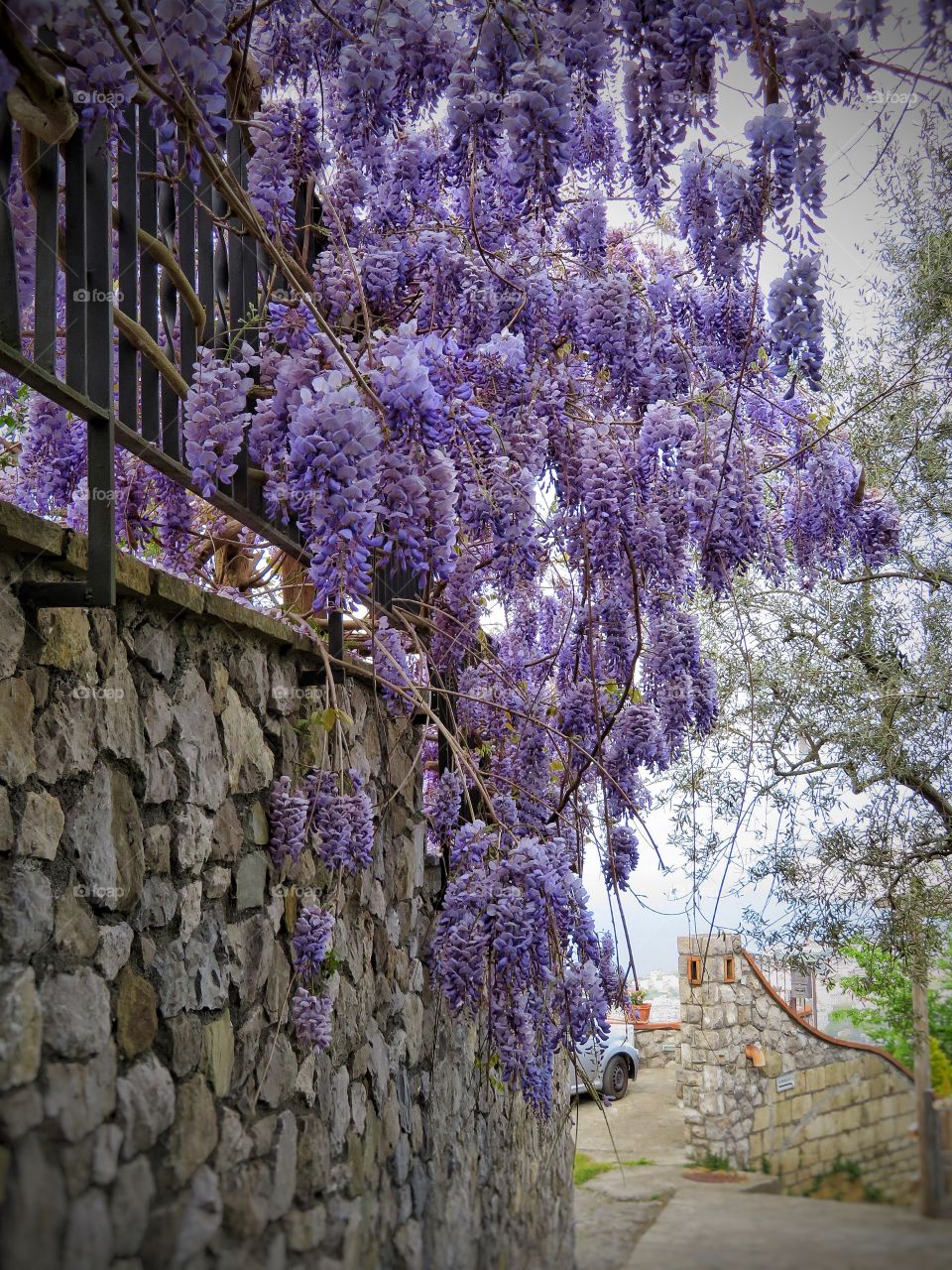 Hiking path near Sorrento