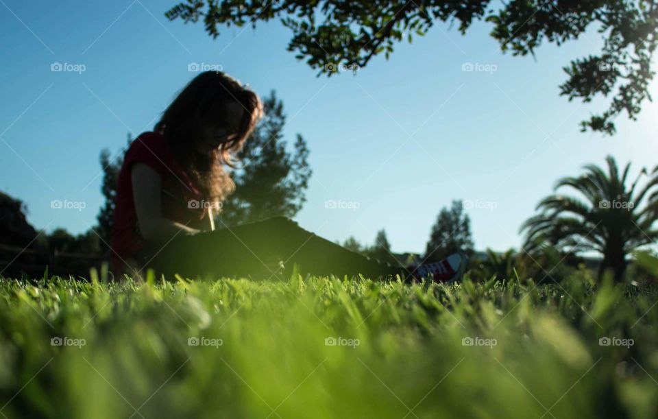 Under the shadow of the tree.