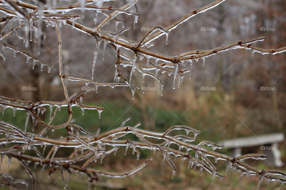 Icicles