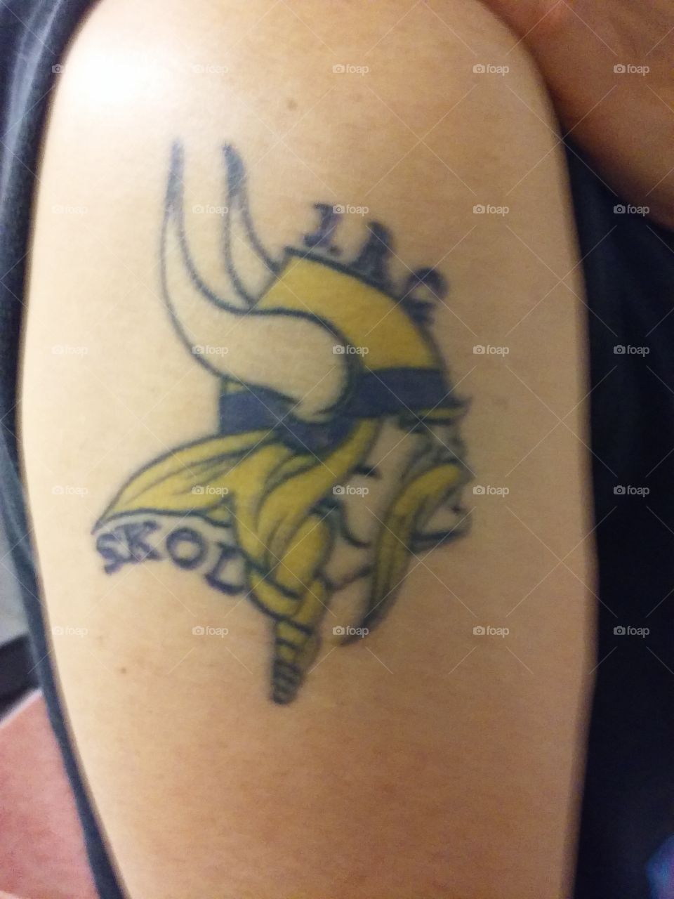 Vikings Fan forever....SKOL