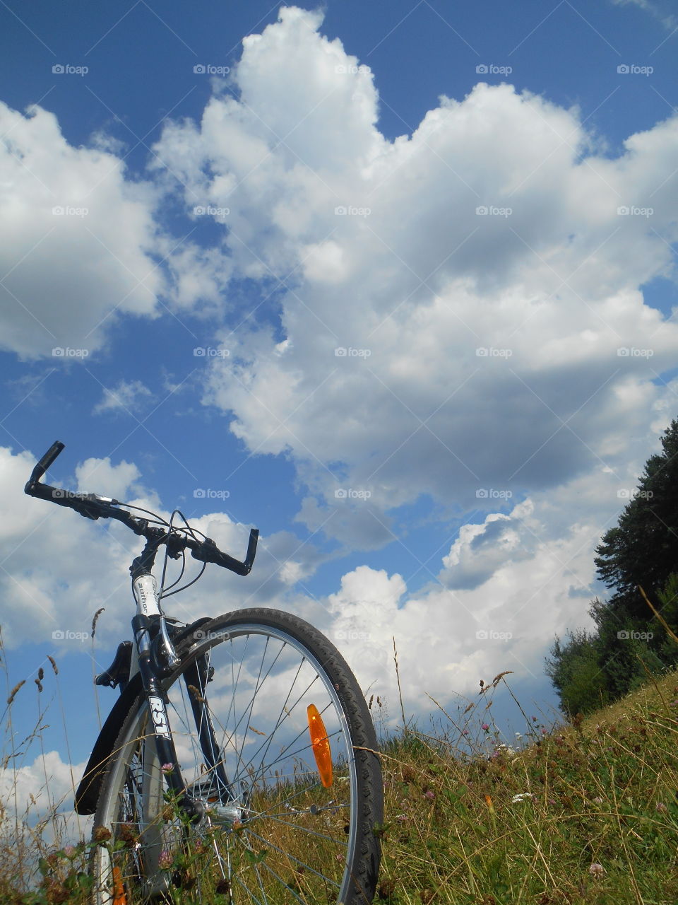 Bike, Wheel, Sky, No Person, Nature