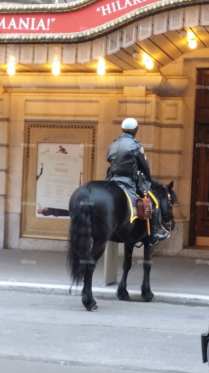 new york mounted police