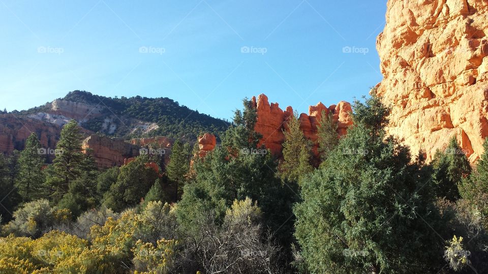 Redstone rocks hiding between the trees