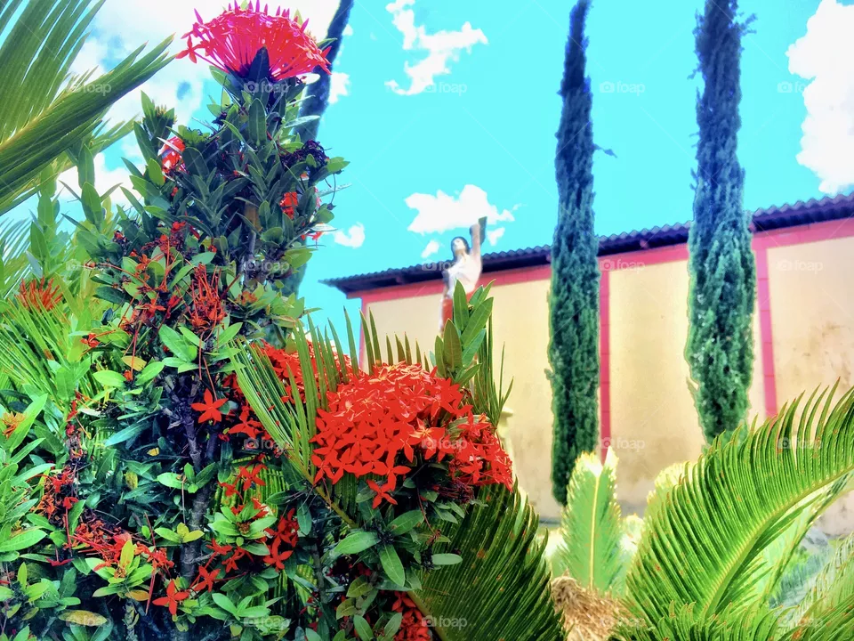 Natureza 