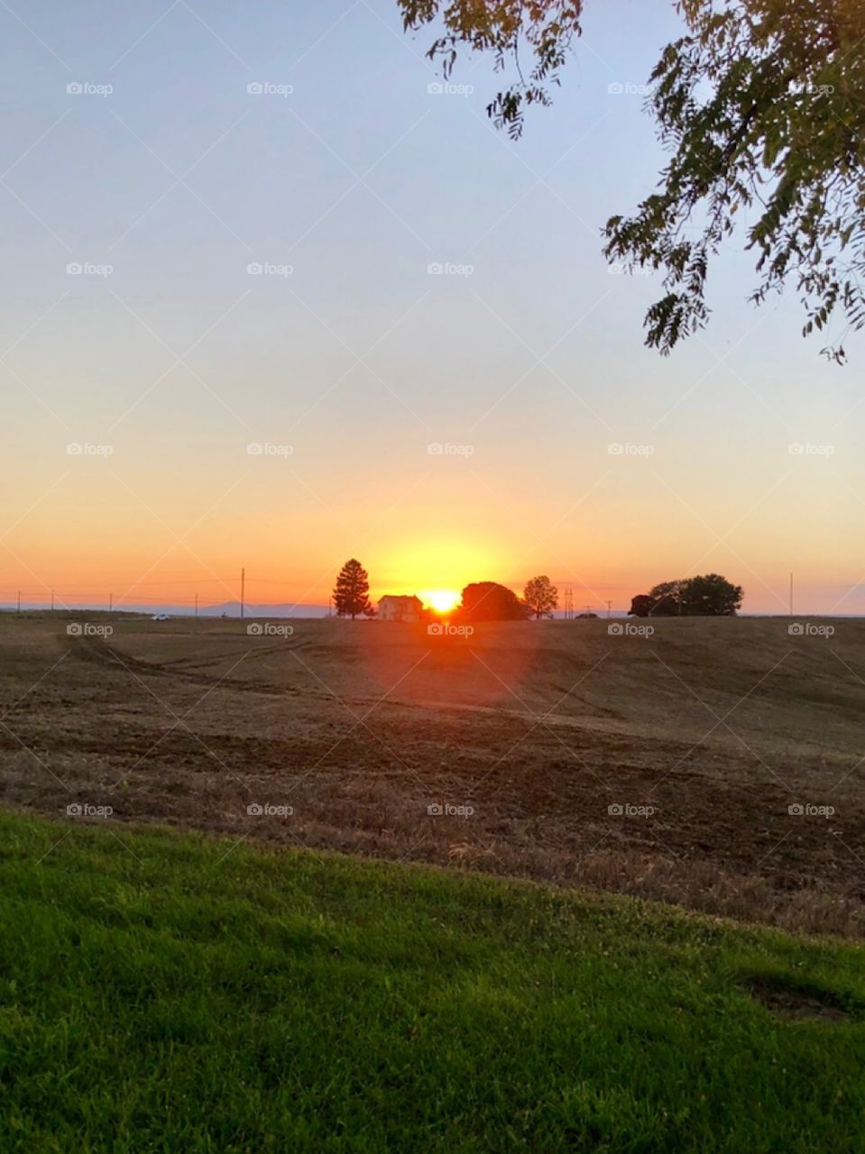 Sunset on the farm 