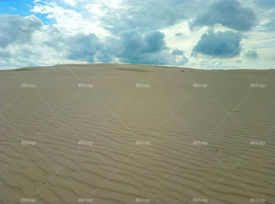 Desert, Sand, Dune, Wasteland, No Person