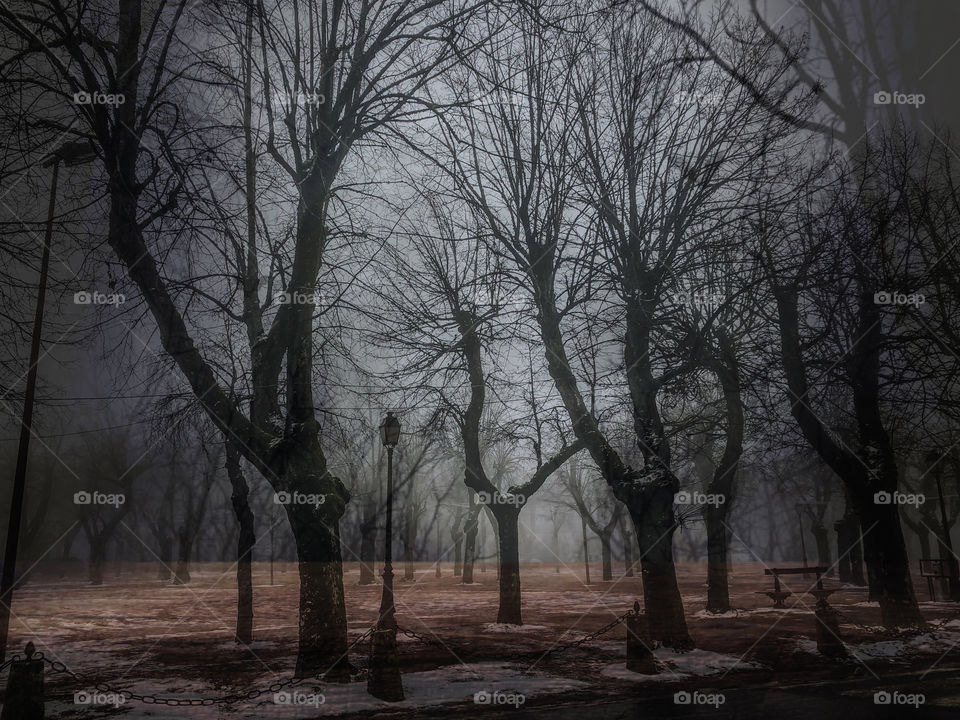 As the snow melts and the mist draws in, this French town square acquires an eerie feel.