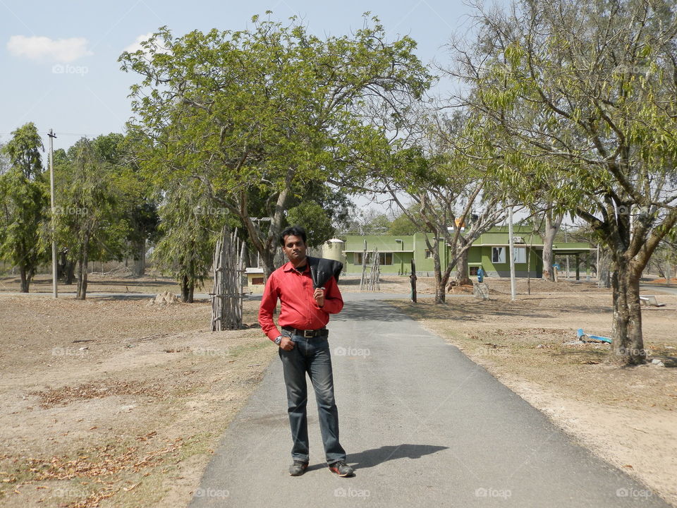Road, Tree, Landscape, People, Street