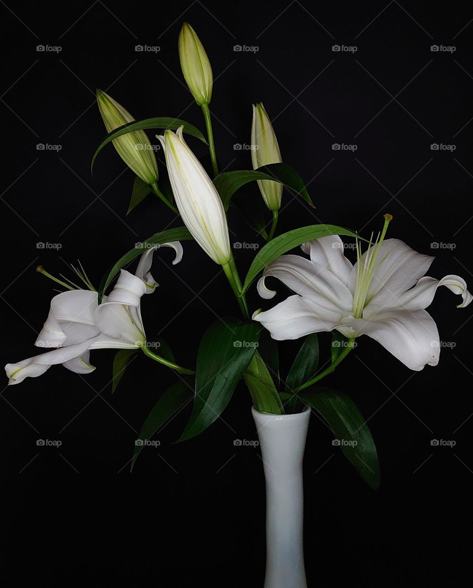 Lily in the vase 🤍 White flowers 🤍