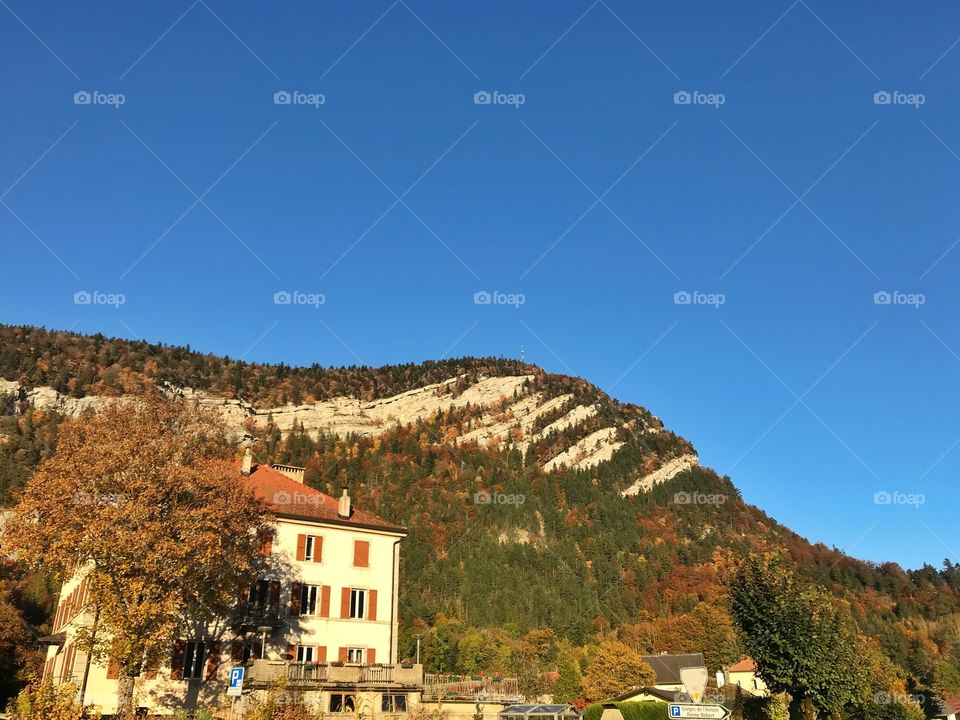 Trees and mountain in autumn in Switzerland 