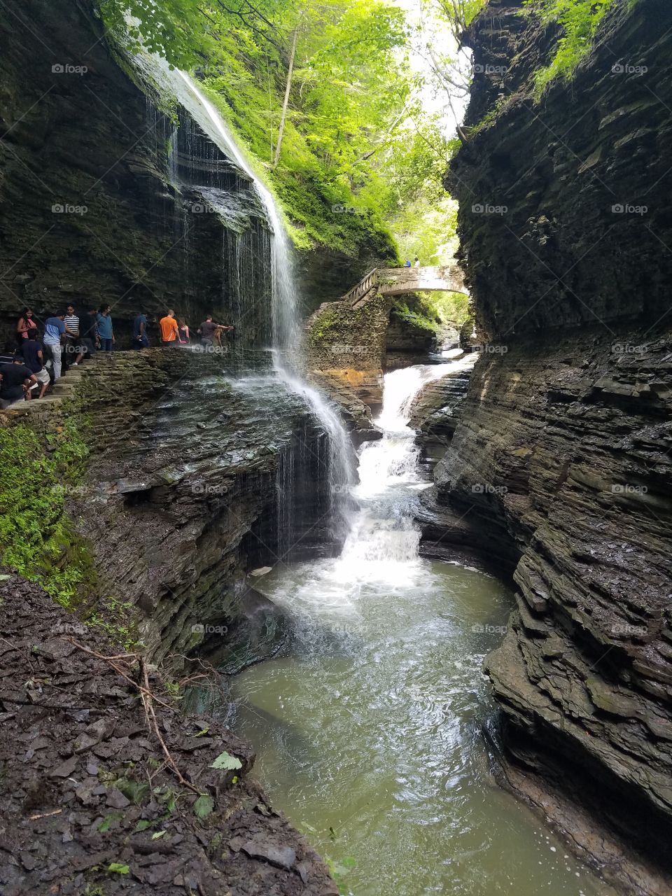 wakins glen waterfall