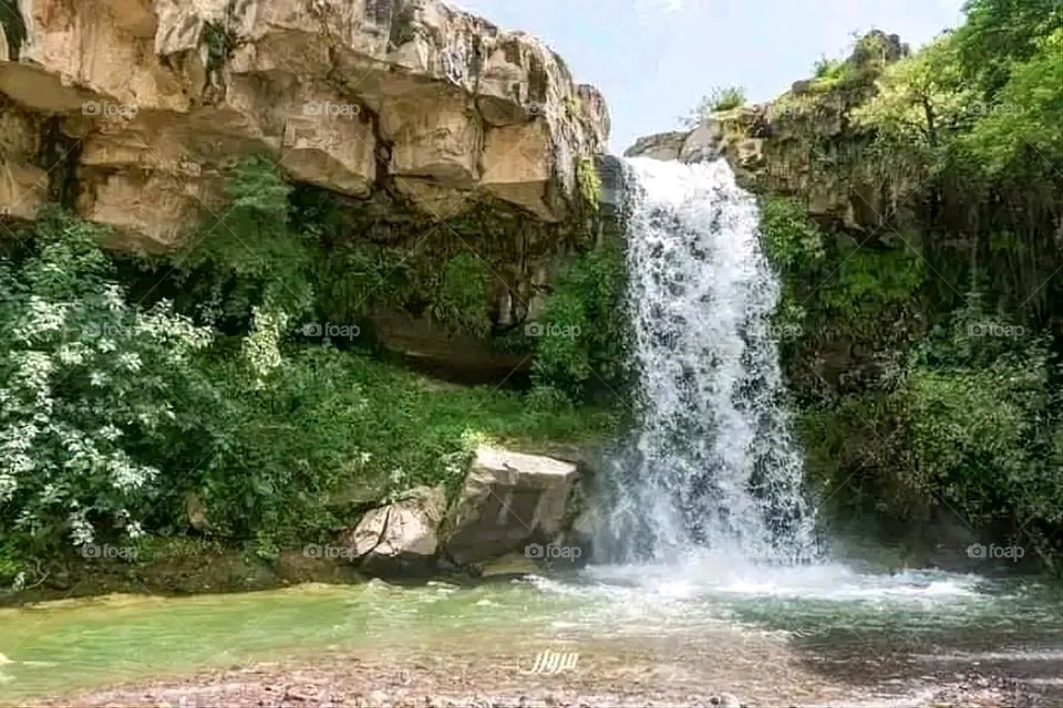 A very beautiful picture, and there is no better picture than it. There is no better picture of green herbs and colorful, red and white roses than it. Glory be to God, the natural and picturesque view, and there is no more