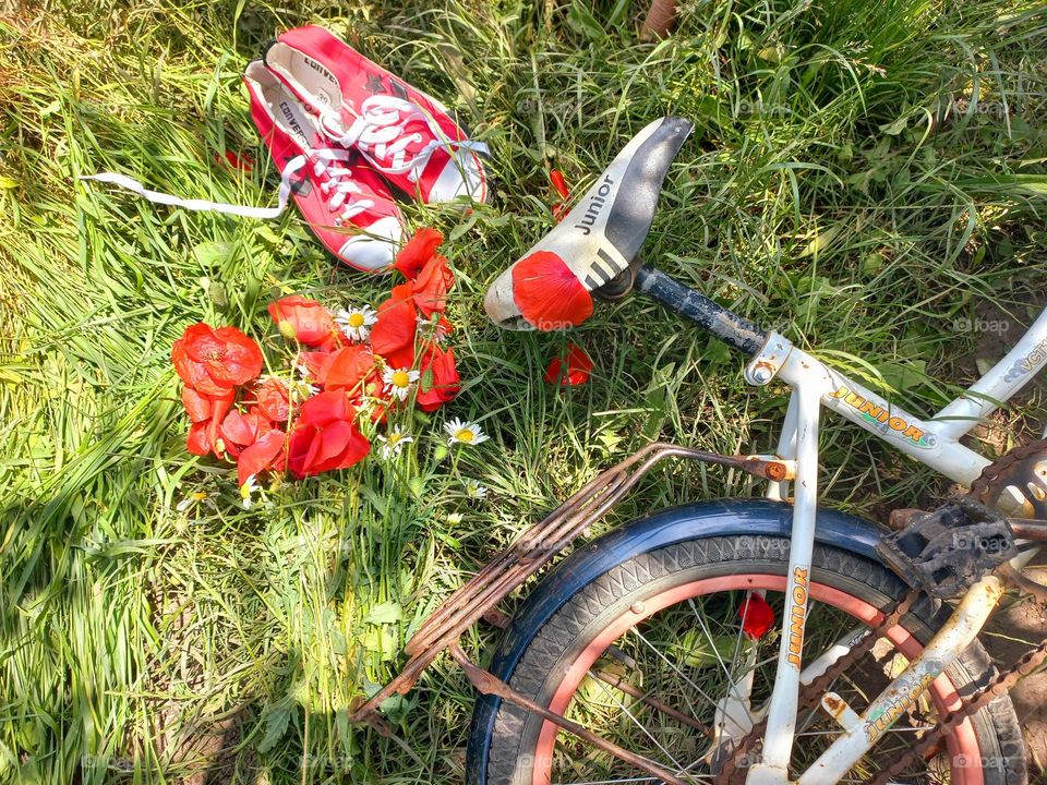 bicycle and red poppies.