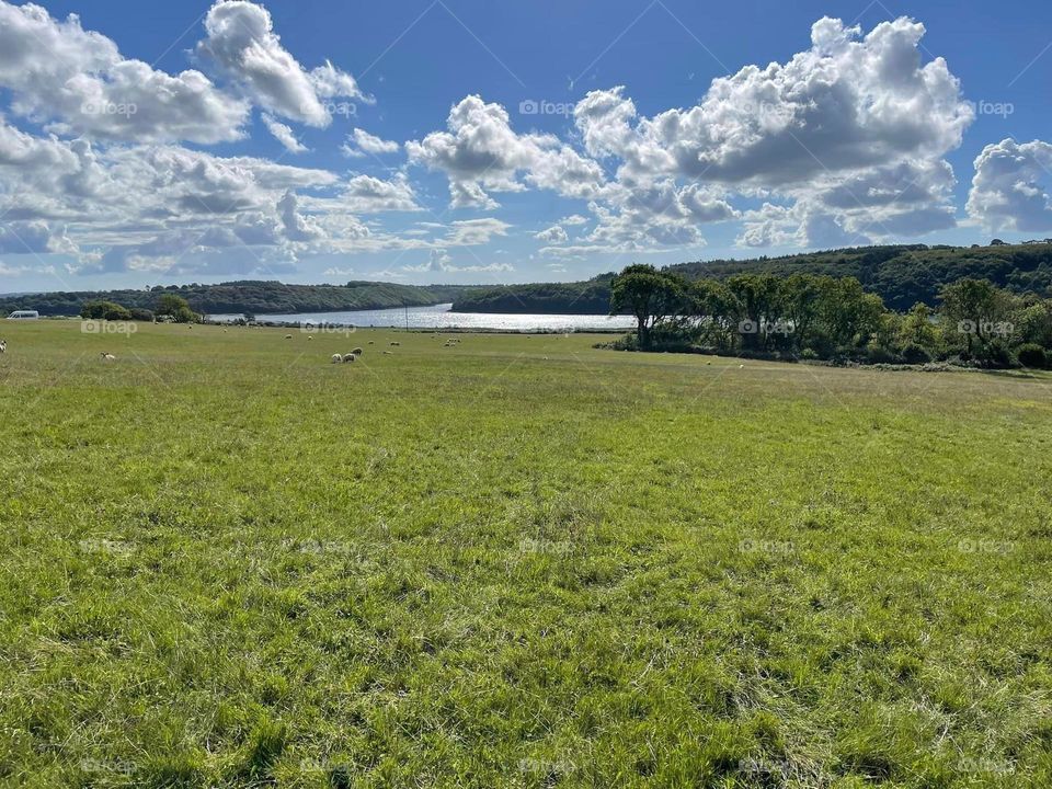 Sun over the Cleddau