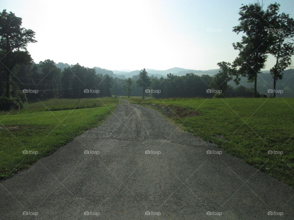 Road in the Smoky mountains