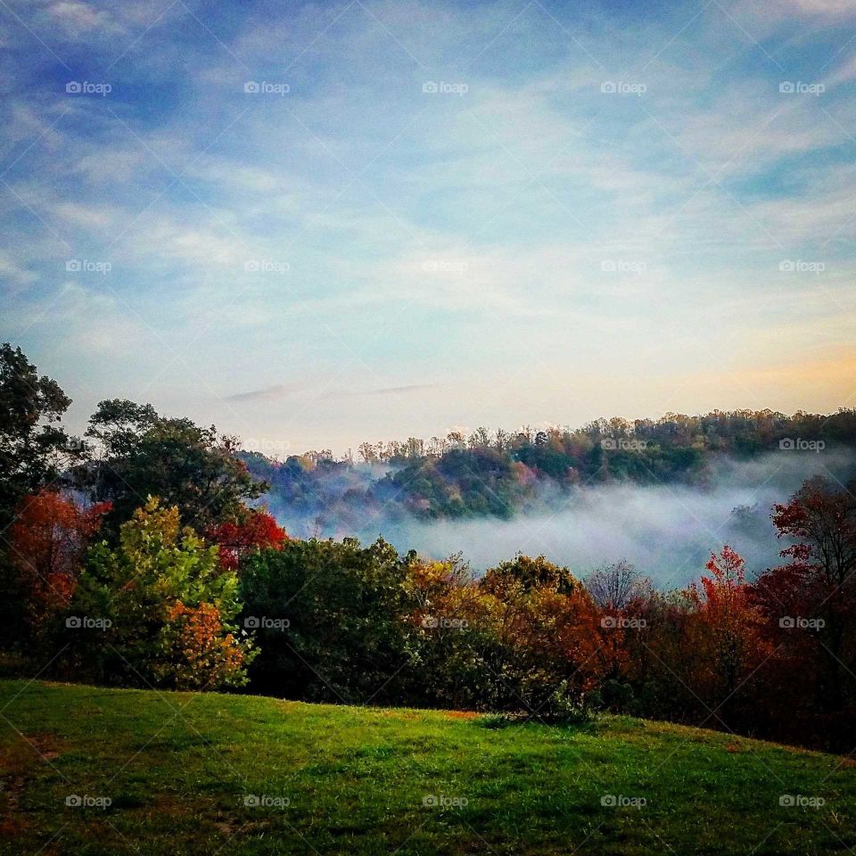 Fall foggy morning.