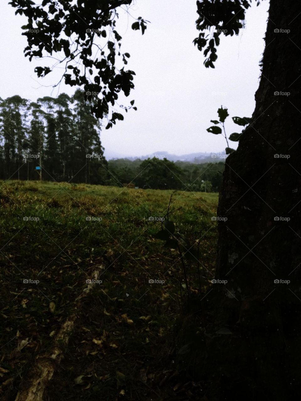 Paisagem de uma tarde de Domingo.