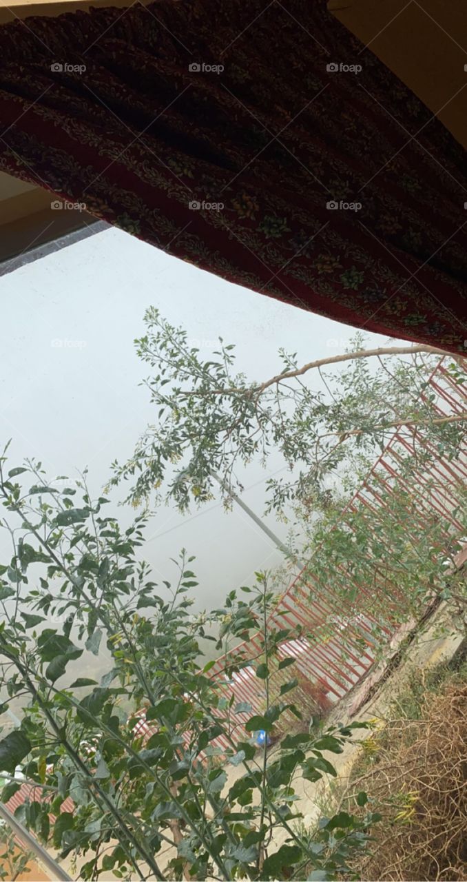 🥶🌧all the time a weather city of albaha