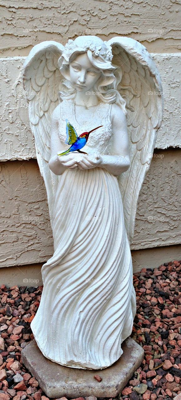 An Angel and her Hummingbird