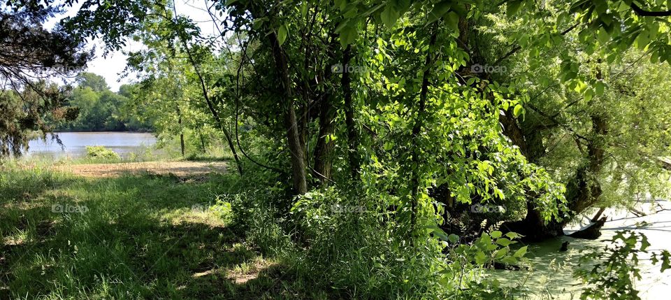 Hidden Away Between a Pond and a Lake