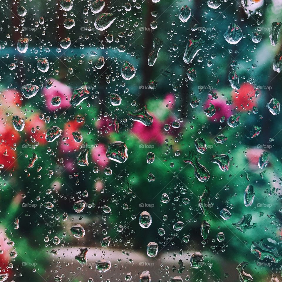 Drops on the window. Drops water 