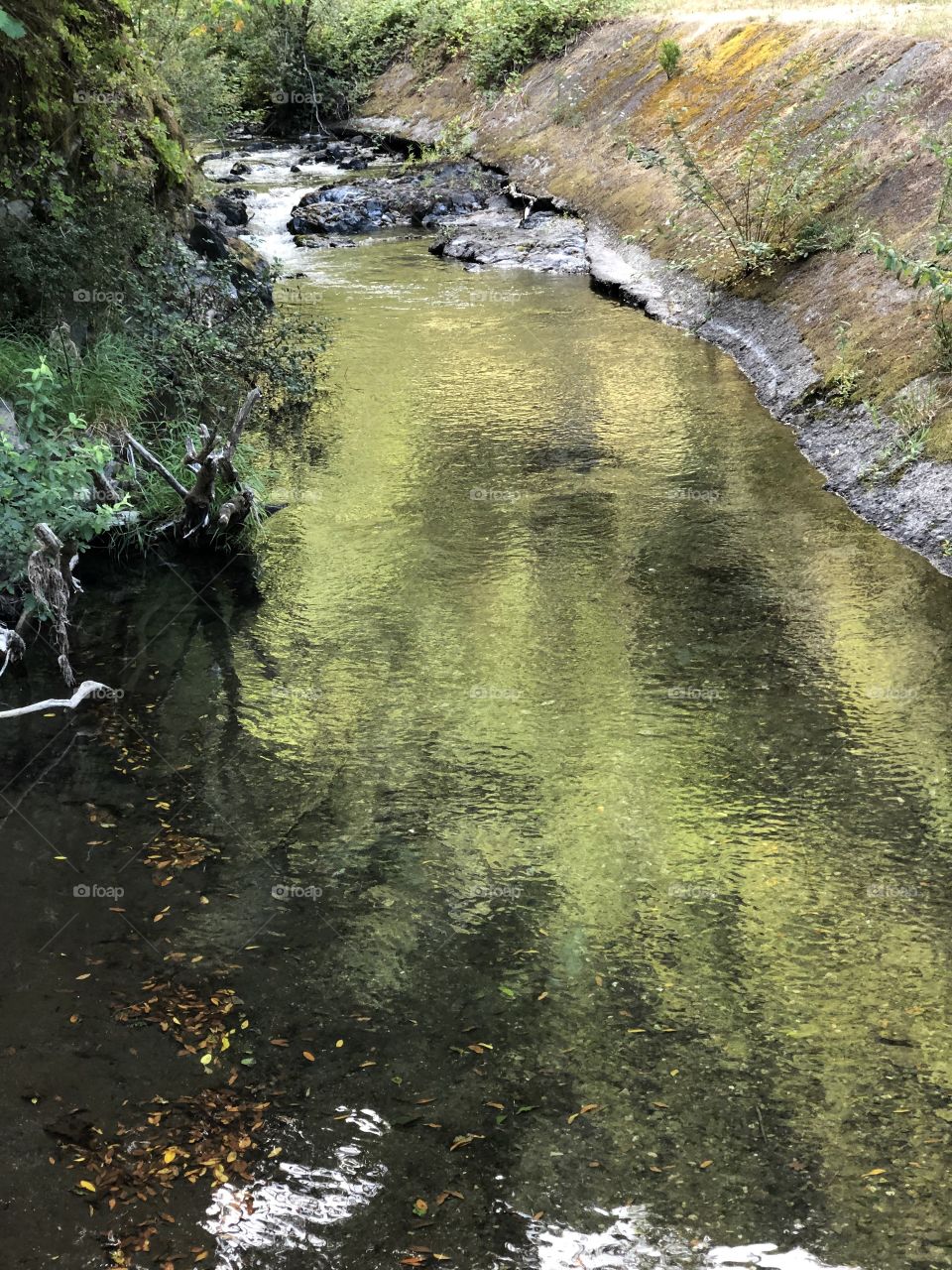 Humbug Mountain Creek