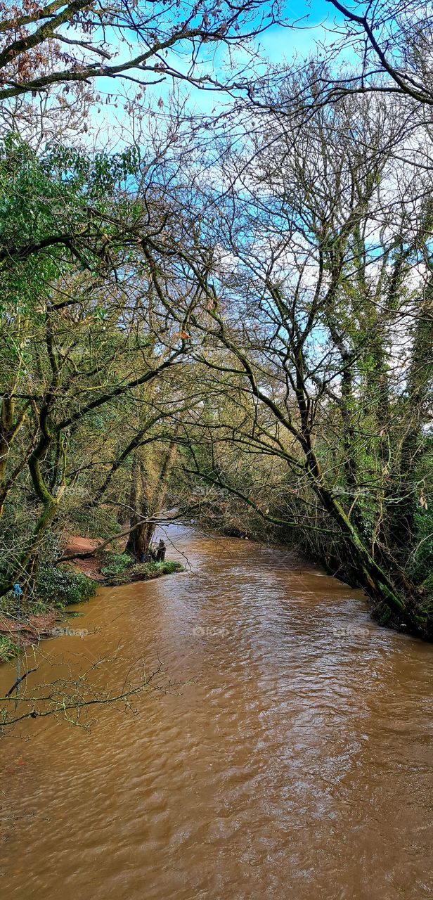 Walking 🚶‍♀️