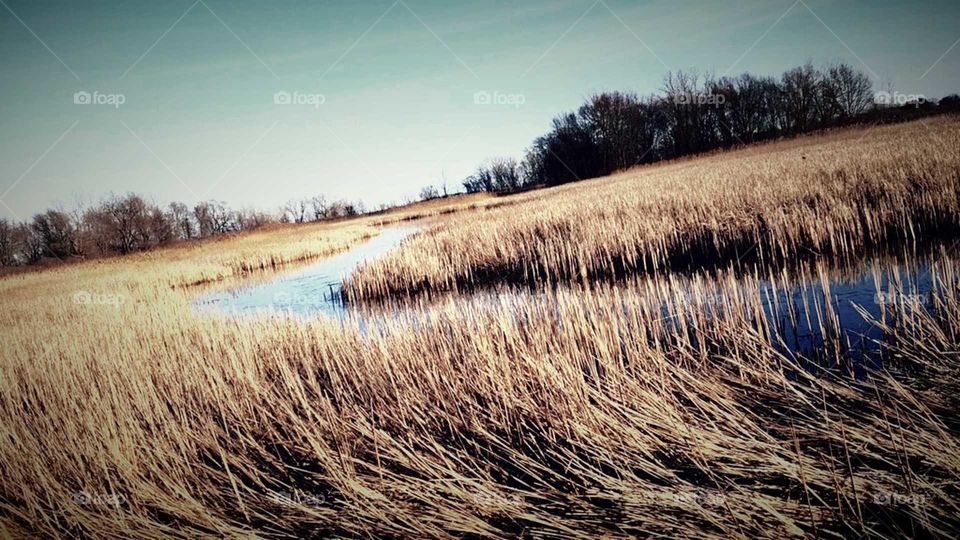 Lake Erie Metropark