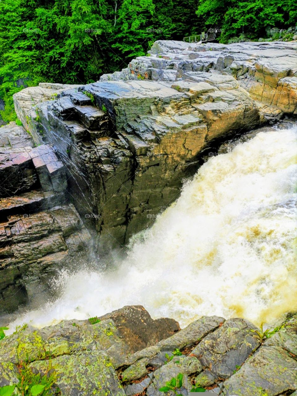 canyon Sainte-Anne's cascading river
