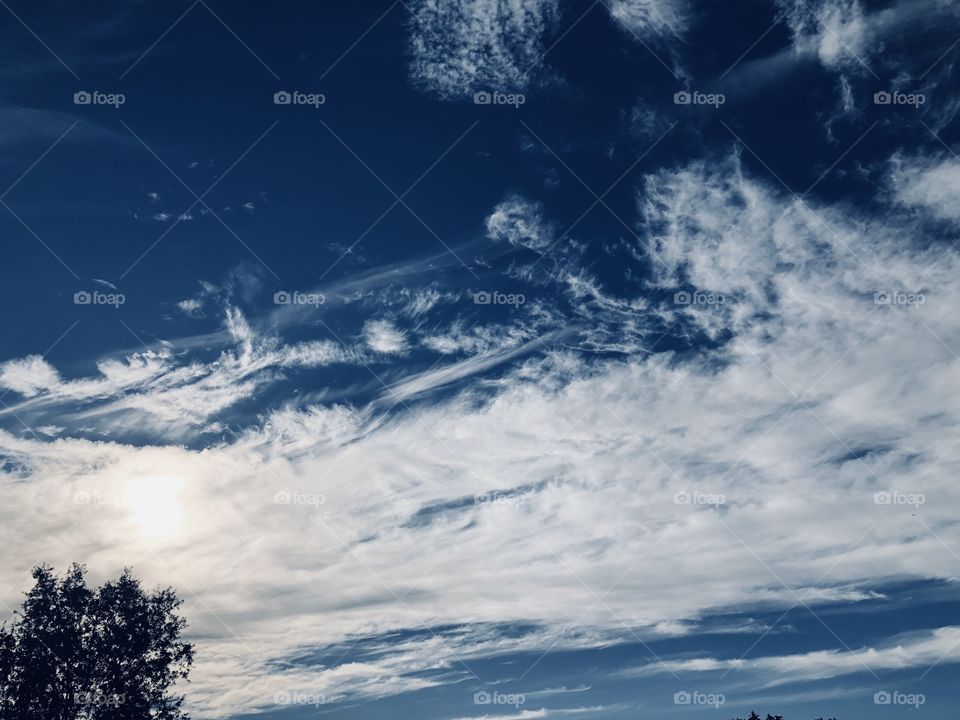 Sky