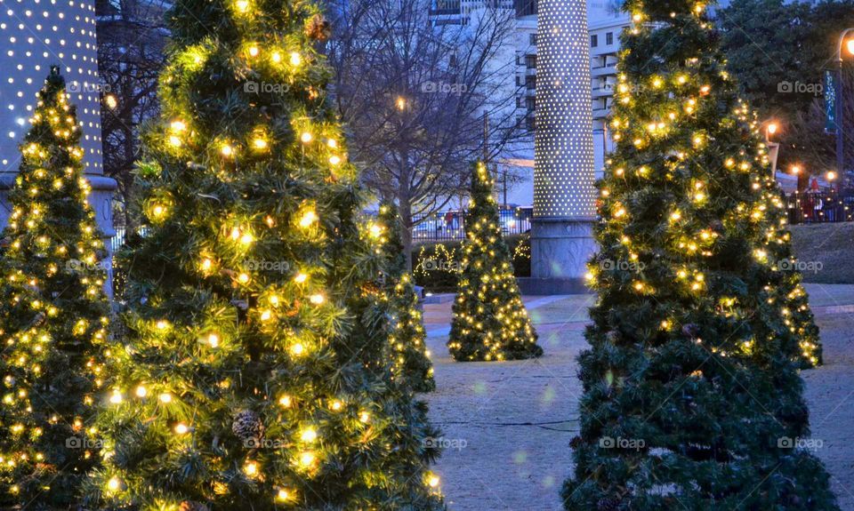 Christmas trees in Atlanta Georgia