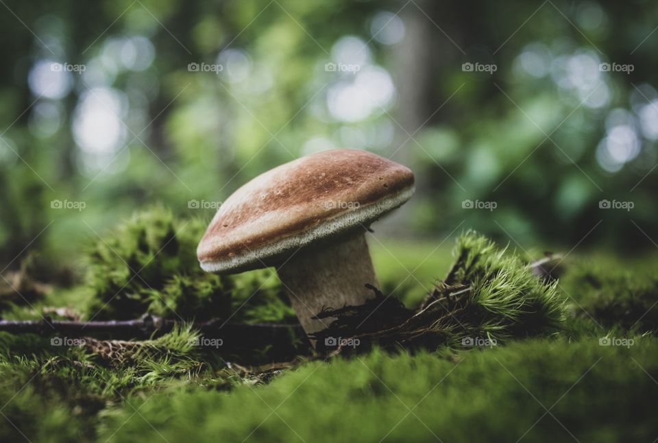 The joy in discovery 