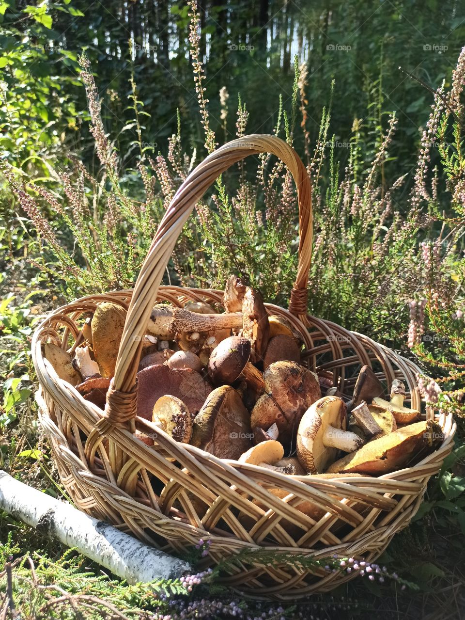 It's time for autumn!