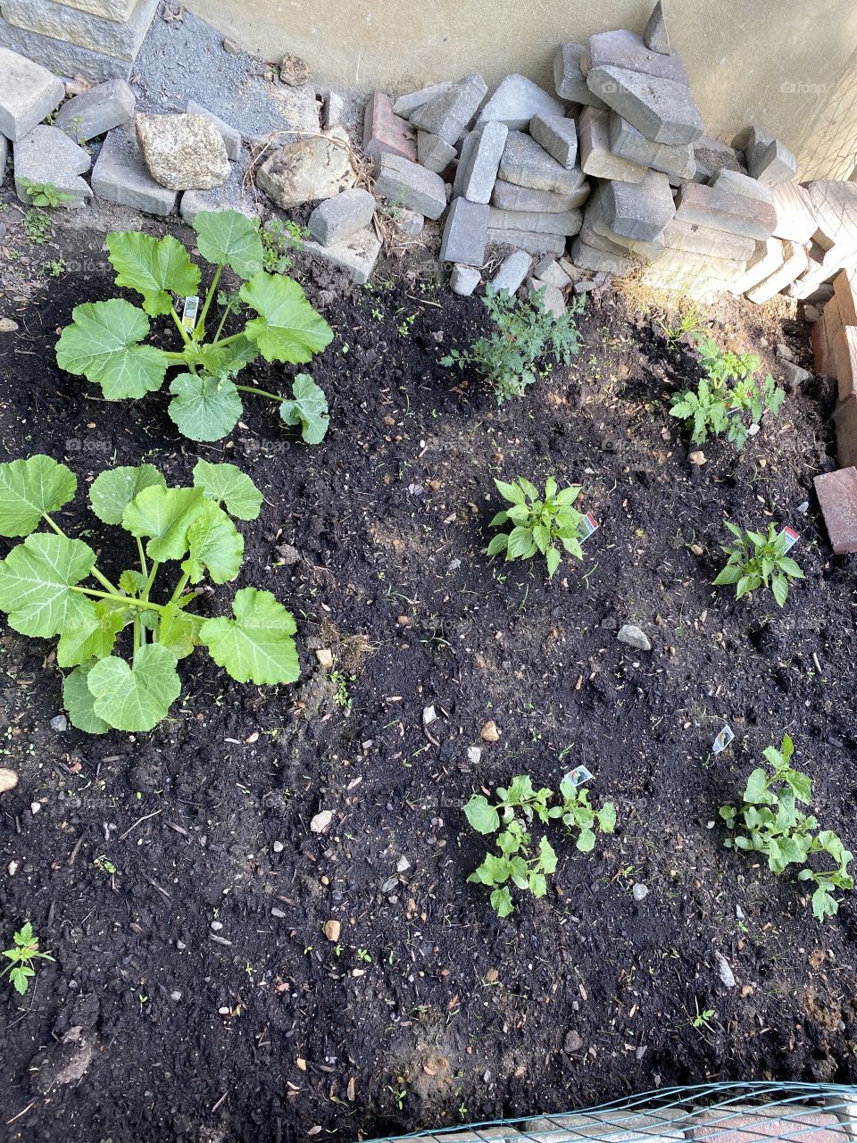 Gardening