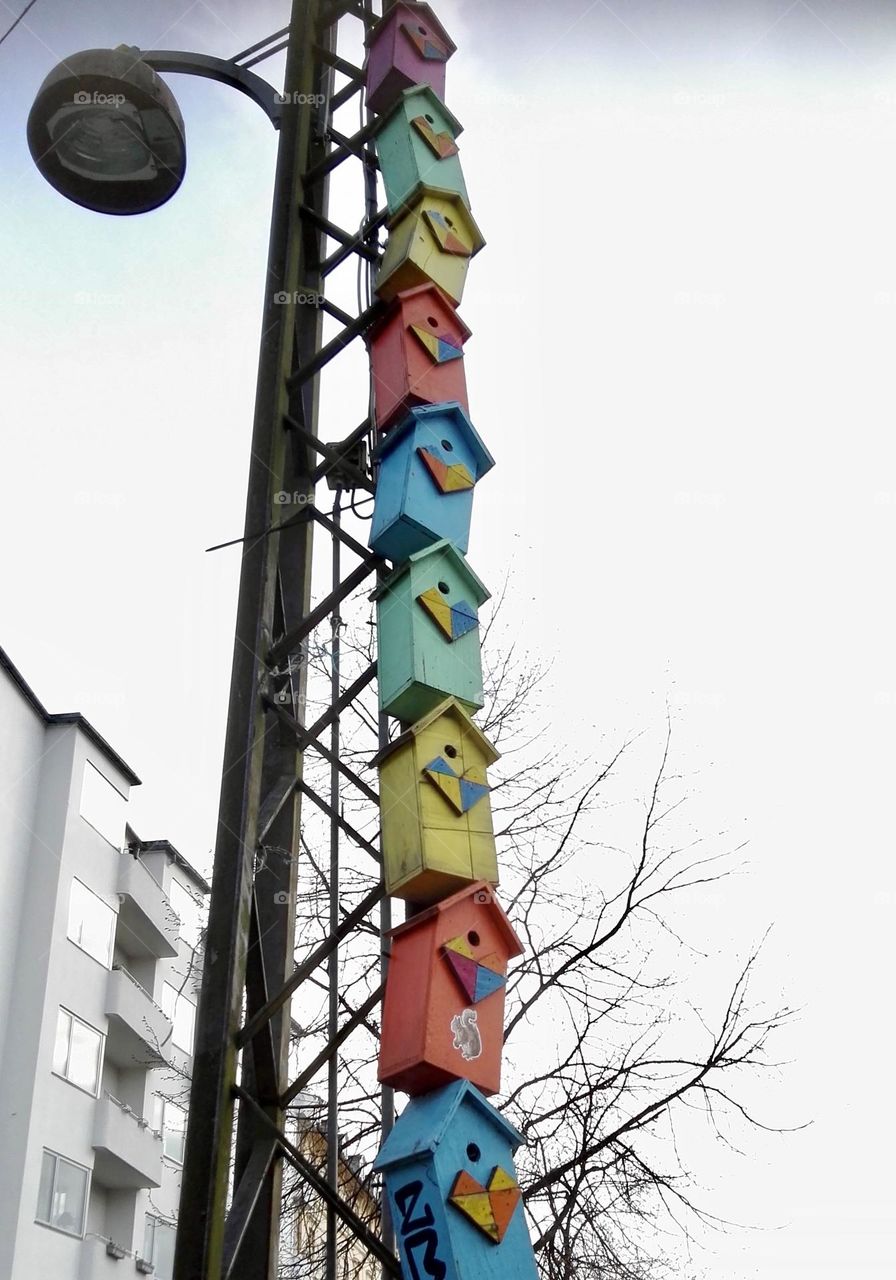 Coloured bird houses 