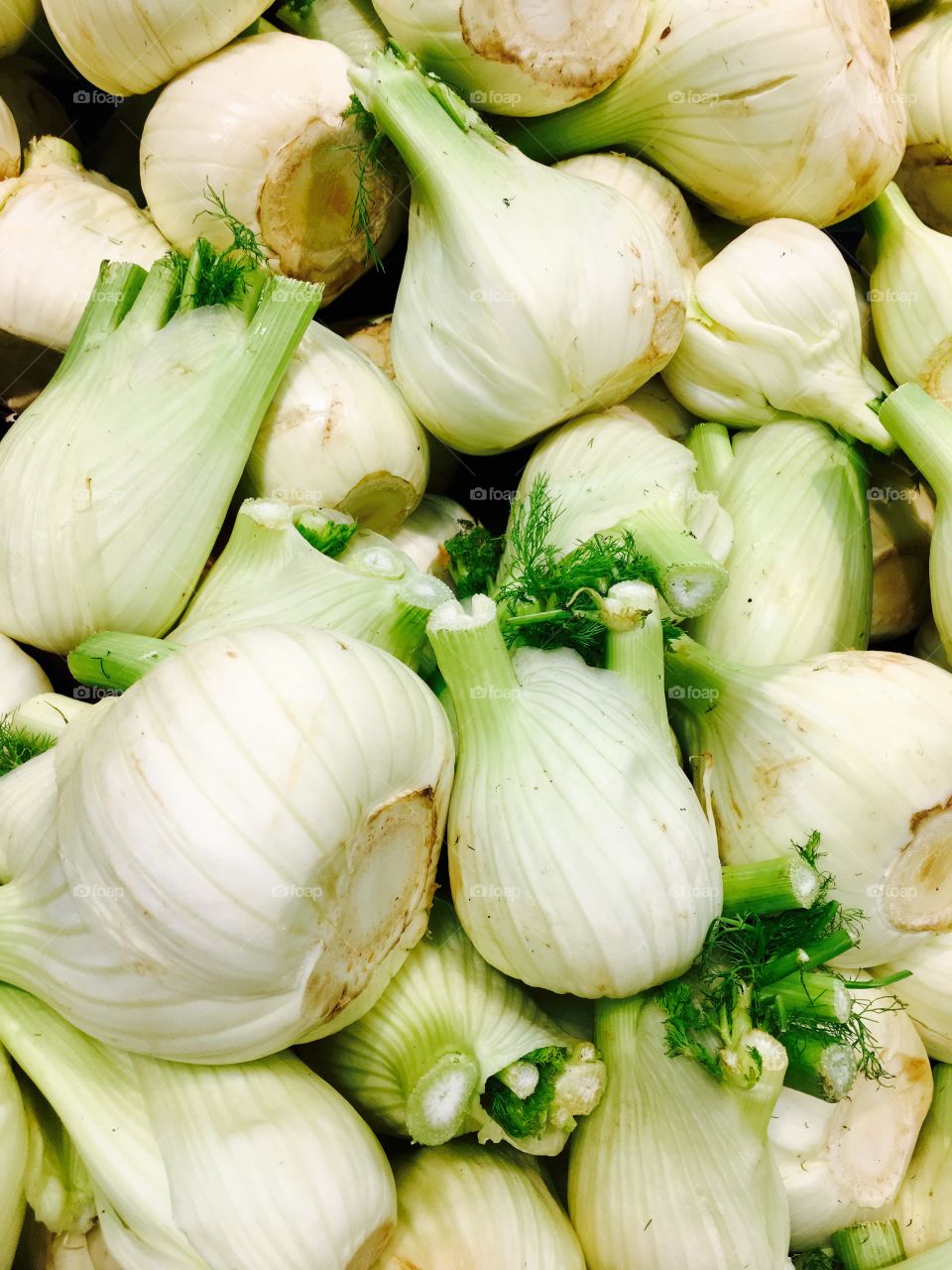 fennel anise