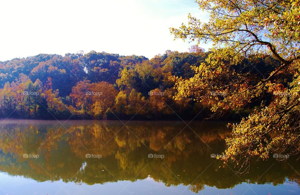 Chattahoochee River in the Fall