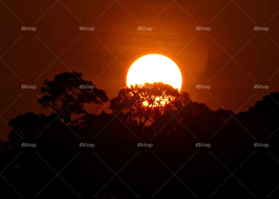 
The sun was sinking fast now; the sky had turned to a clear, purple-tinged grey, but to the west there was a ruby-red glow.