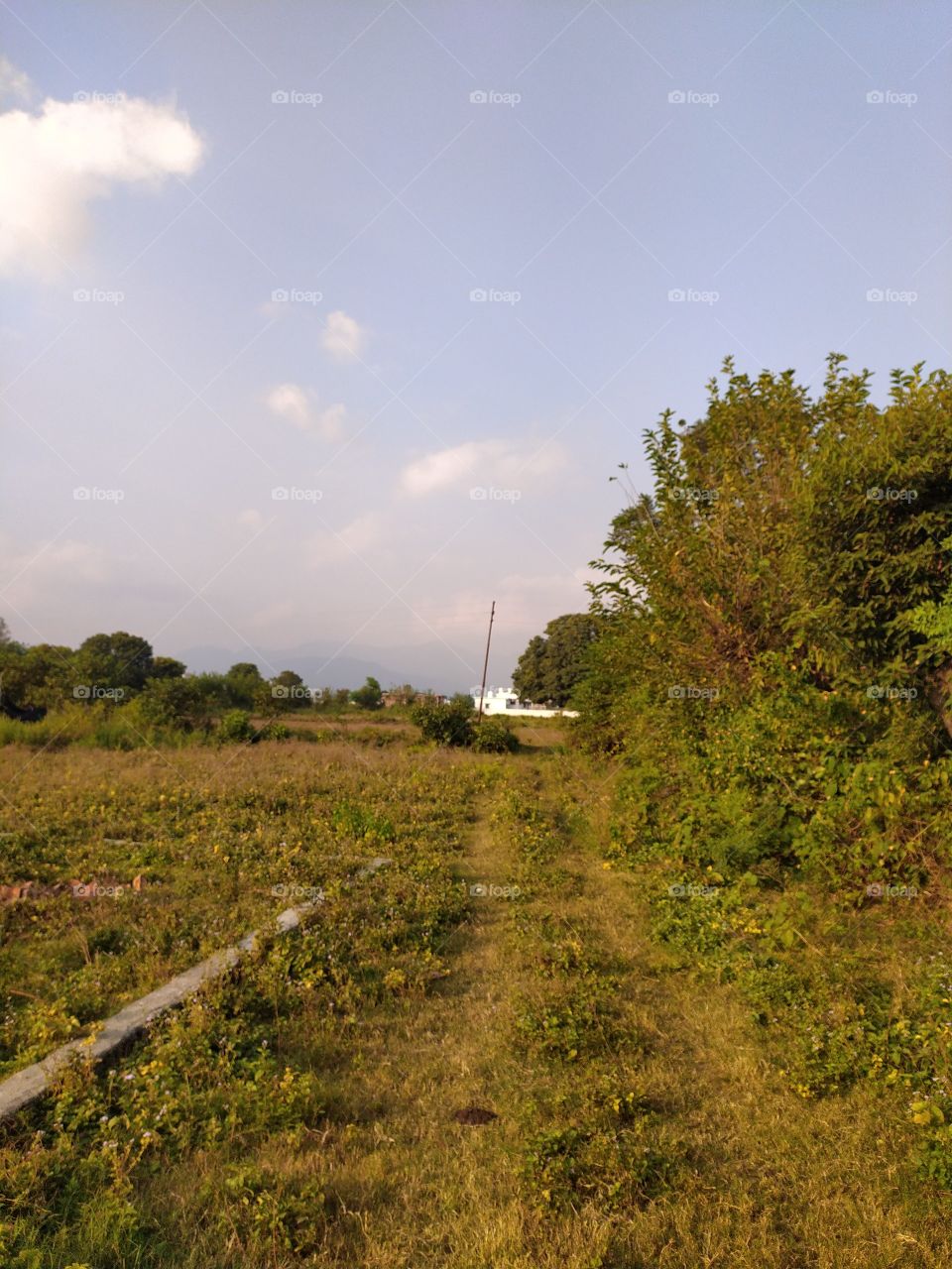 Calm and peaceful village paths