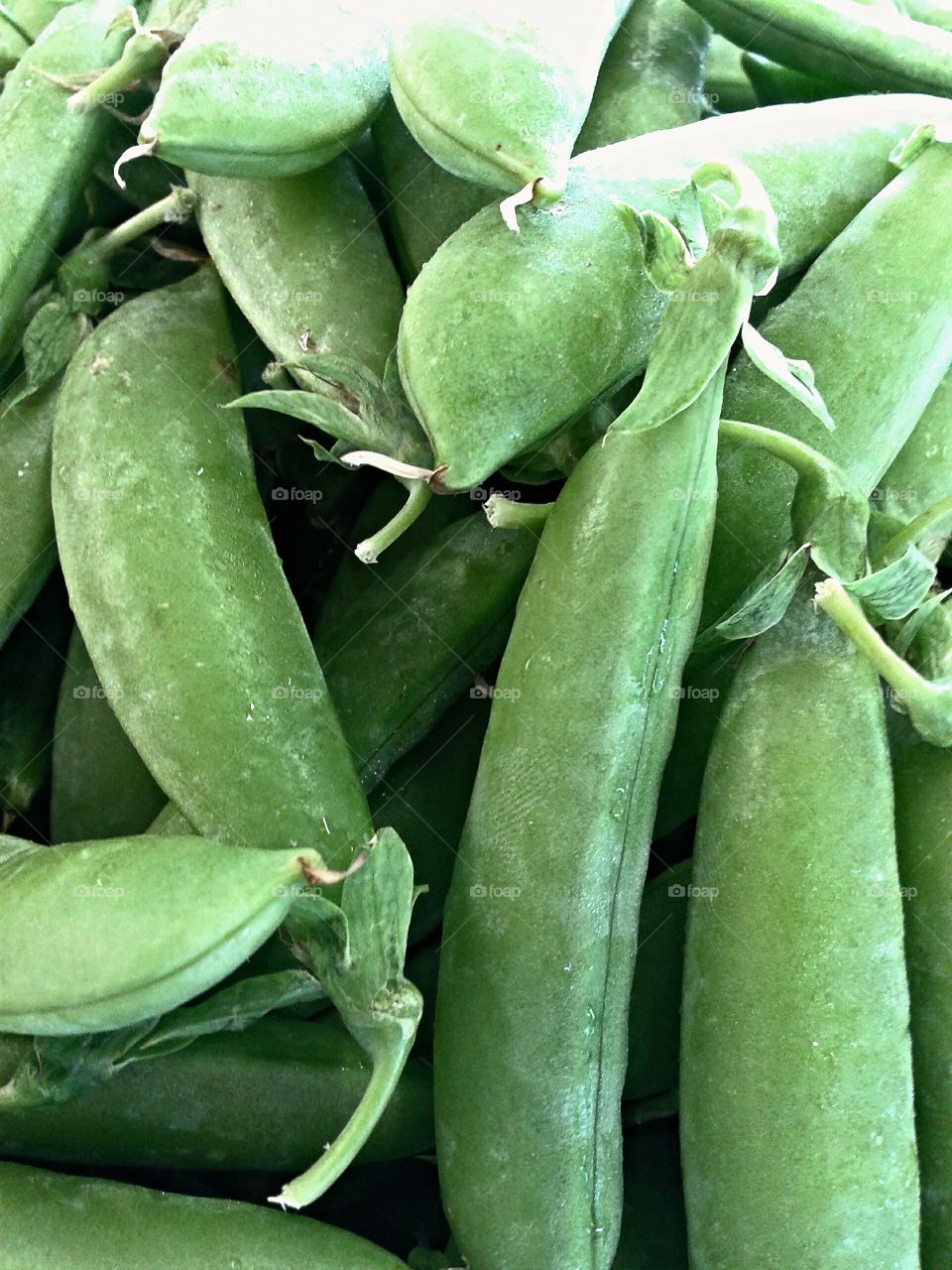 Sugar peas. So pretty and green. Not to mention delicious as well.