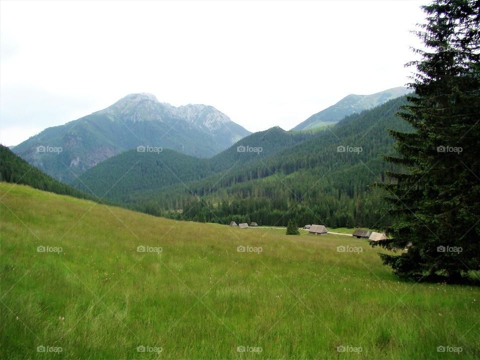 Summer in the Tatra Mountains, Poland