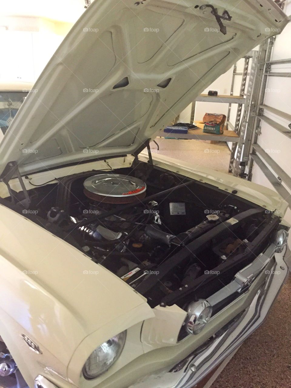 1969 Mustang. A white 1969 Mustang