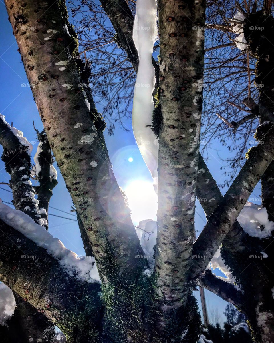 Winter mornings. Crisp, cool, sunny day. 